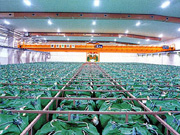 フレコン(フレキシブルコンテナ)搬送システム