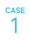 CASE1