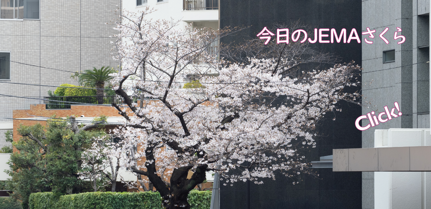 今日のJEMAさくら '26