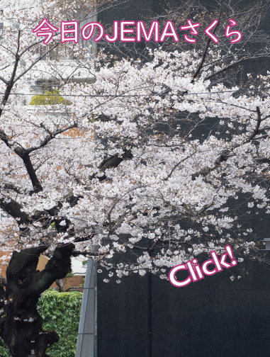 今日のJEMAさくら '26