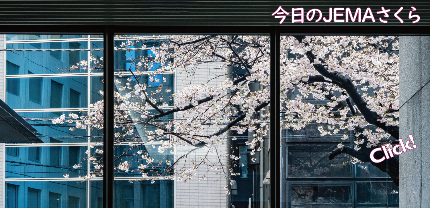 今日のJEMAさくら '26