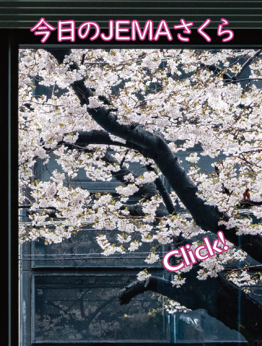 今日のJEMAさくら '26