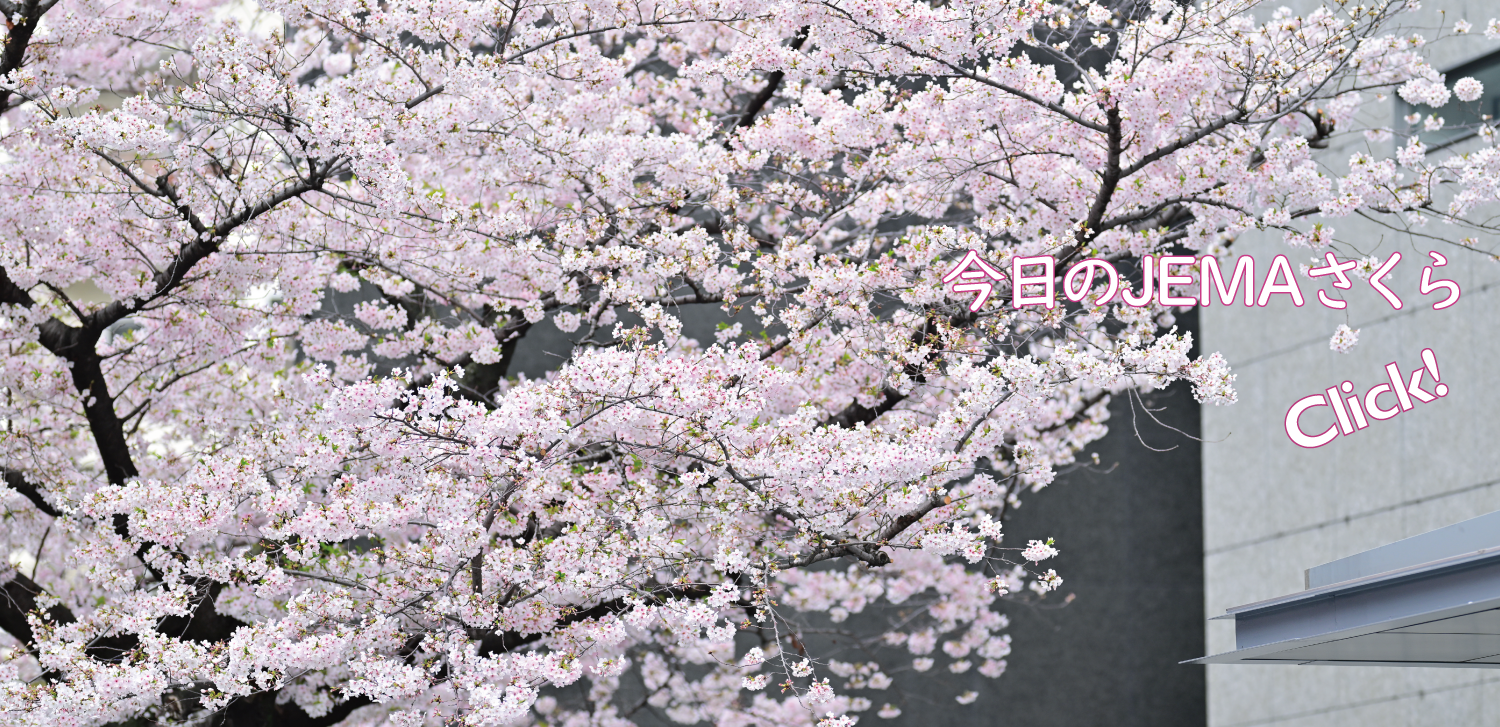今日のJEMAさくら '26