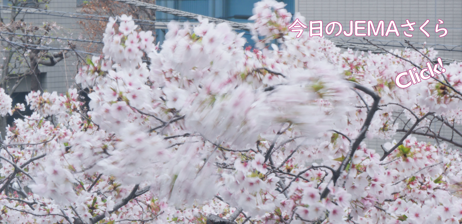 今日のJEMAさくら '26