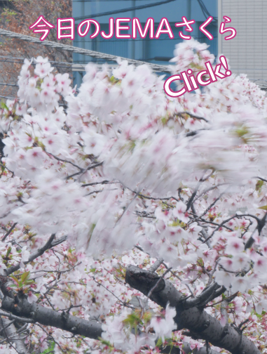 今日のJEMAさくら '26