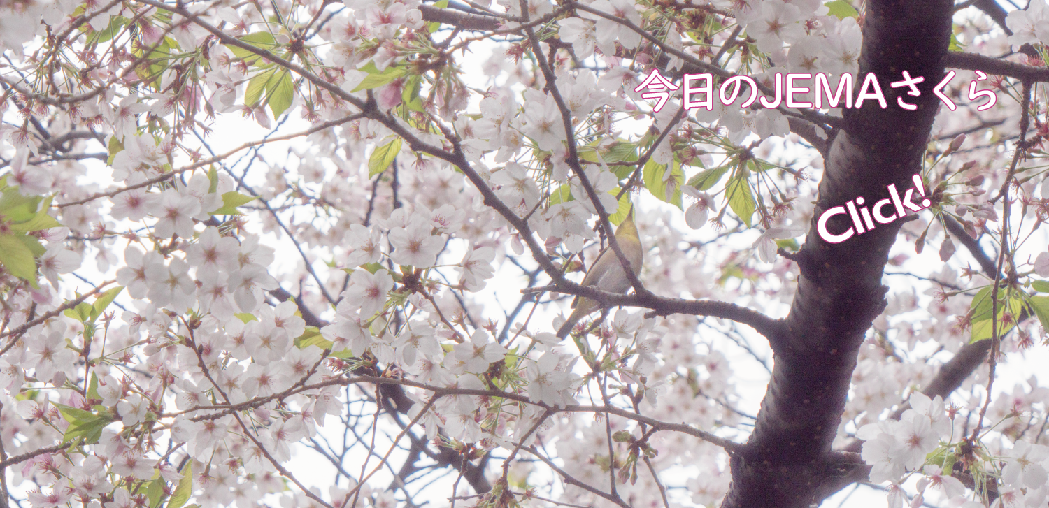 今日のJEMAさくら '26