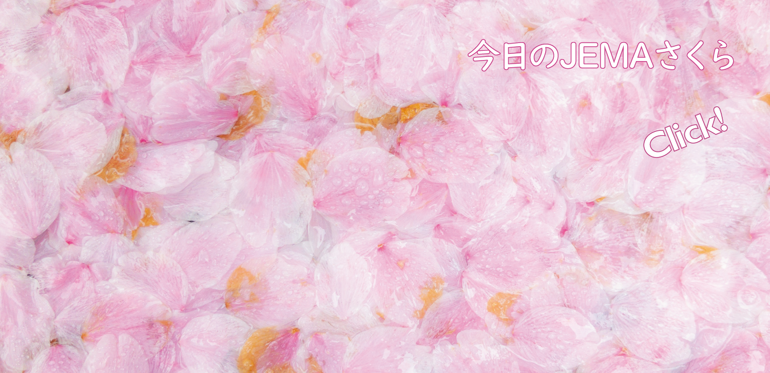 今日のJEMAさくら '26