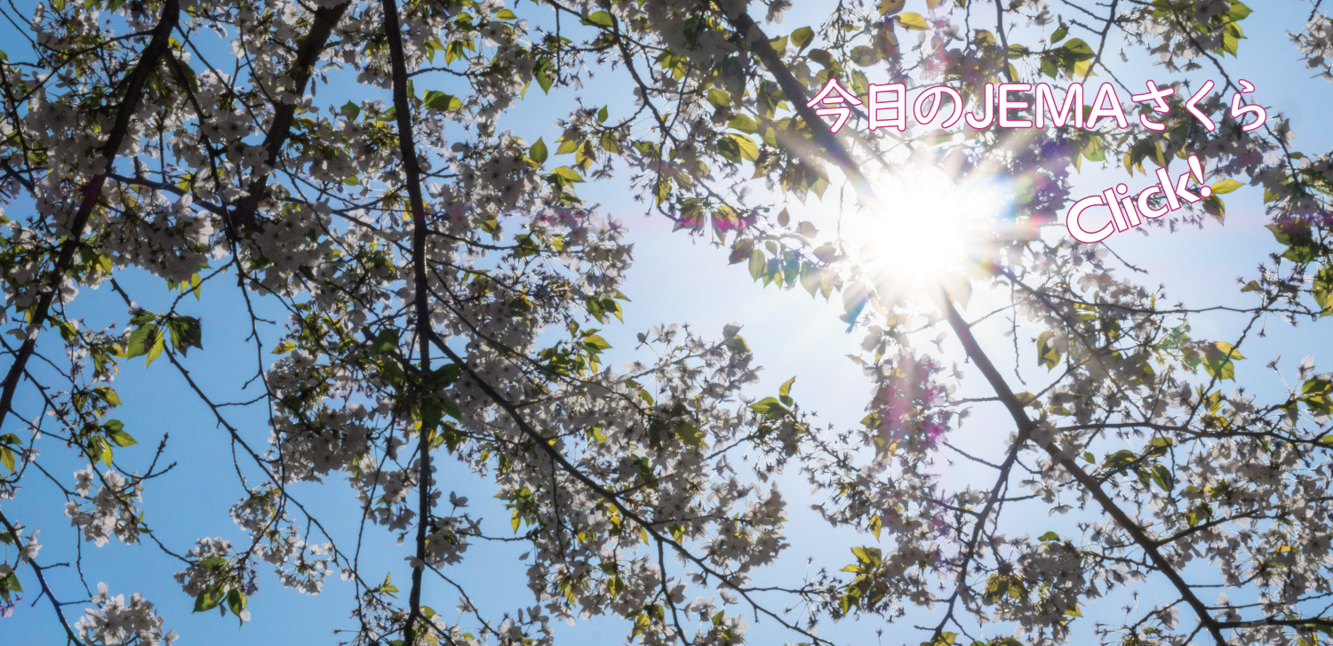 今日のJEMAさくら '26