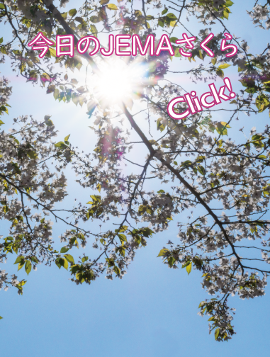 今日のJEMAさくら '26