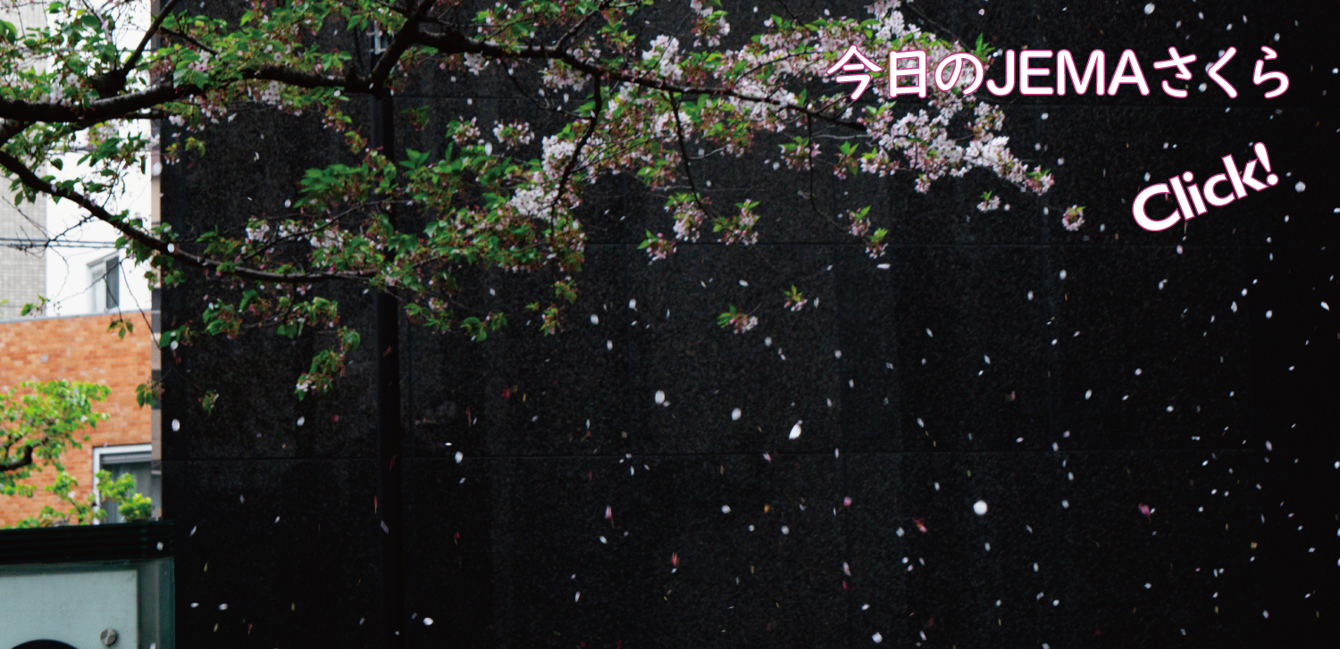 今日のJEMAさくら '26