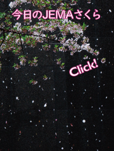 今日のJEMAさくら '26