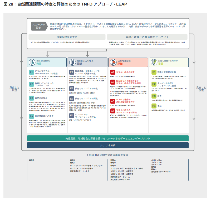 自然関連リスクに関する情報開示フレームワーク LEAPアプローチの図